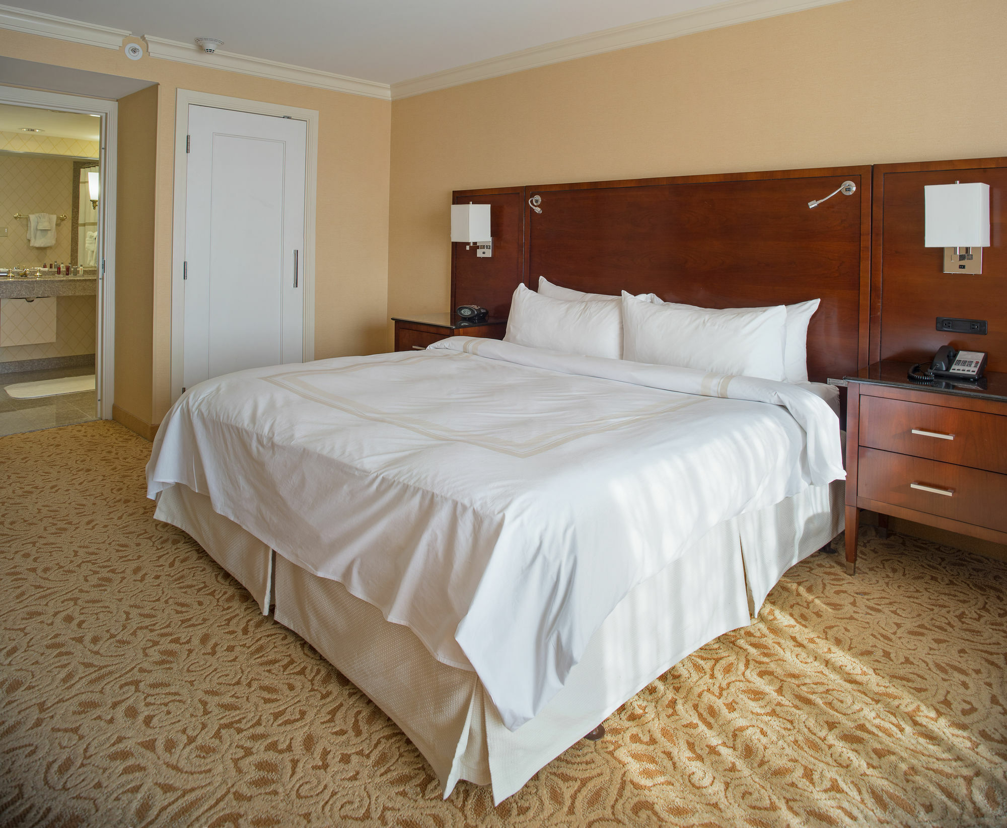 Delta Hotels By Marriott Chesapeake Norfolk Εξωτερικό φωτογραφία